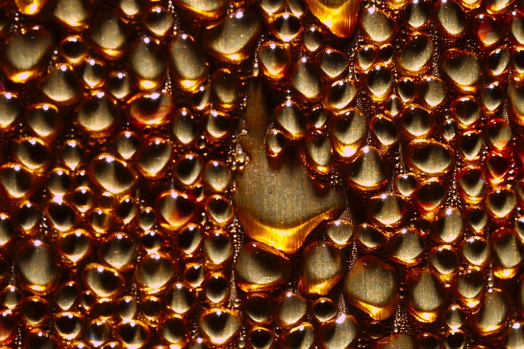 Квас и напитки брожения не будут облагаться акцизом на сладкие напитки