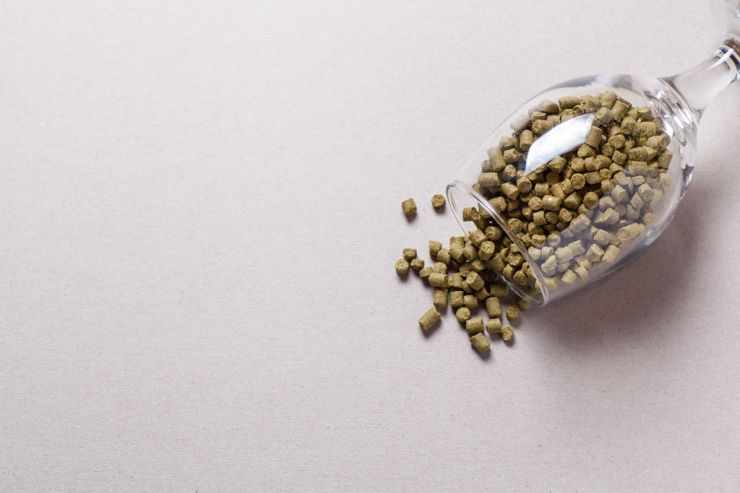 РАР выступает за отмену ввозных пошлин на хмель на время кризиса