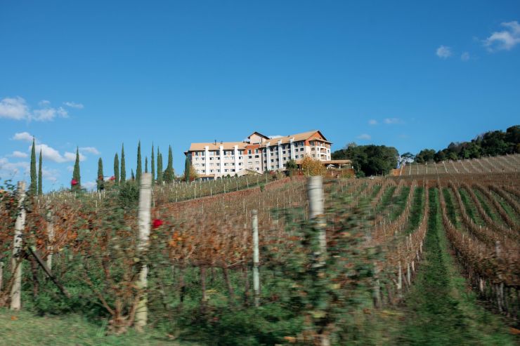 Правительство уточнило требования к объектам туризма на винодельнях