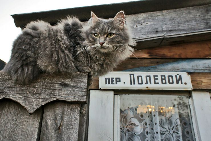 Республика Алтай предложит Госдуме ограничить продажу алкоголя в барах в частном секторе