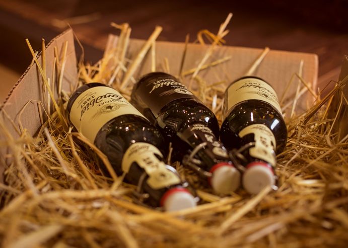 SVAM GROUP открыла фирменный пивной бутик