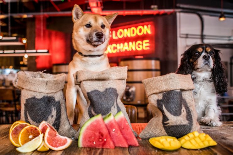 Пиво BrewDog будут варить собаки