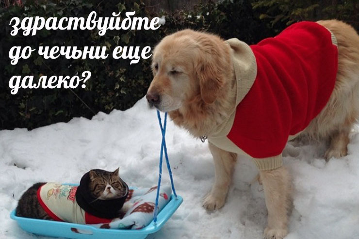 В Чечне закрыли все рестораны и кафе