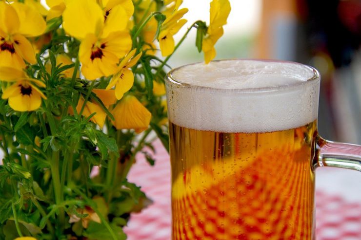 Квасом не чокаются: УФАС оштрафовало брянский бар за рекламу пива 