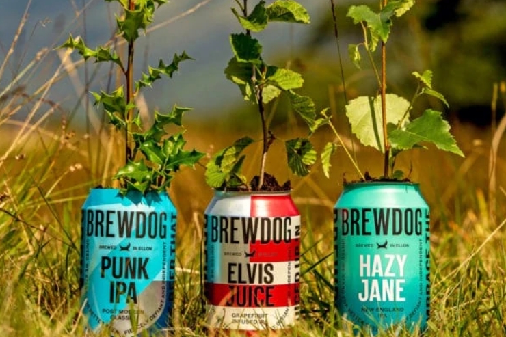 BrewDog предлагает пабам и барам стать экологичнее с программой Planet First Locals