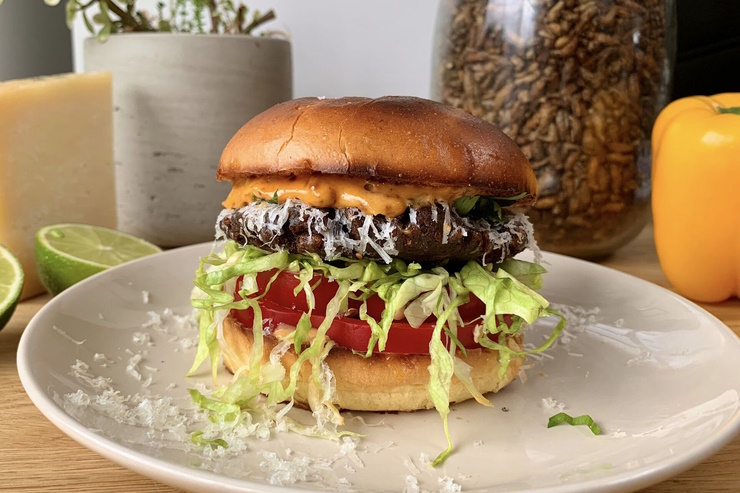 BrewDog хочет продавать в своих барах бургеры из насекомых