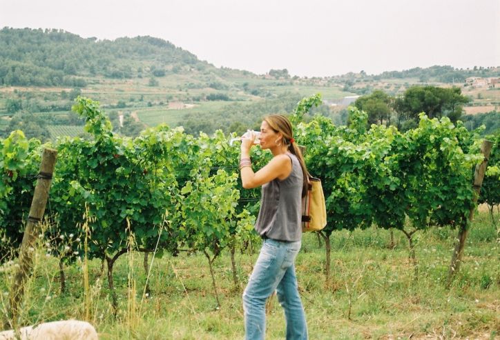 В Крыму появился винный туристический маршрут