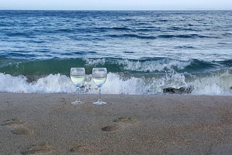 Итальянские виноделы и ученые повторили создание вина по технологии древних греков