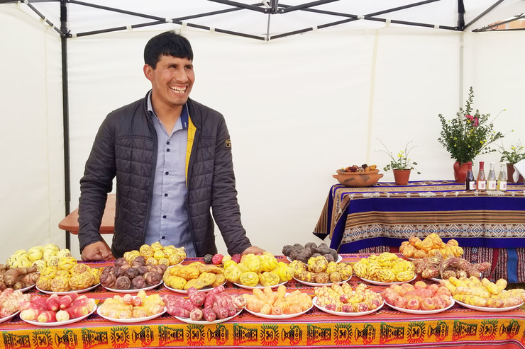 Перуанский фермер создаёт крафтовое «вино» из высокогорного «картофеля»