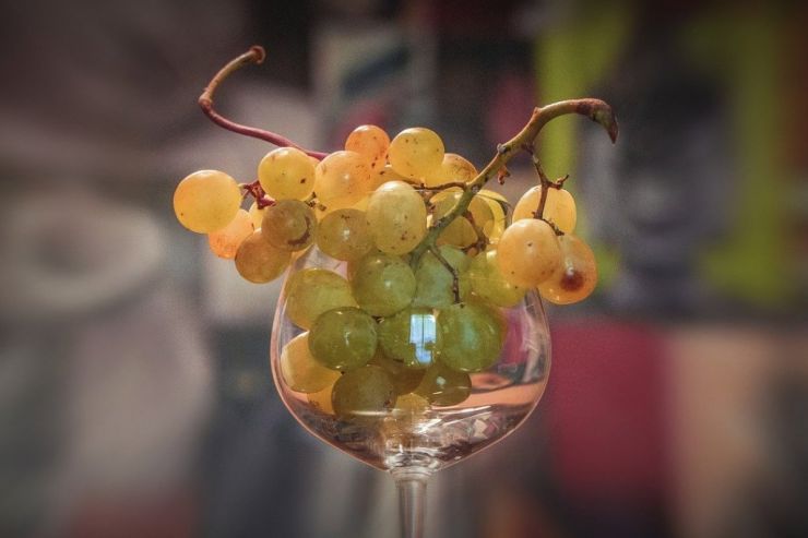 На Кубани хотят создать единый винный бренд «Кубань»