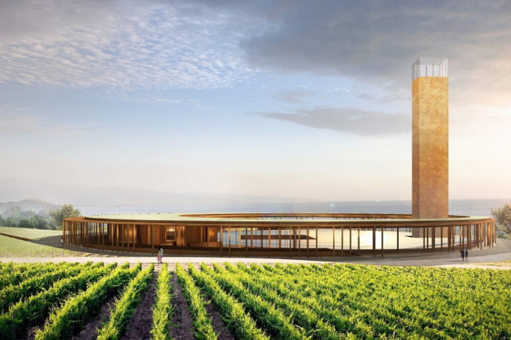 Первый в России винный парк откроется под Ялтой весной 2021 года