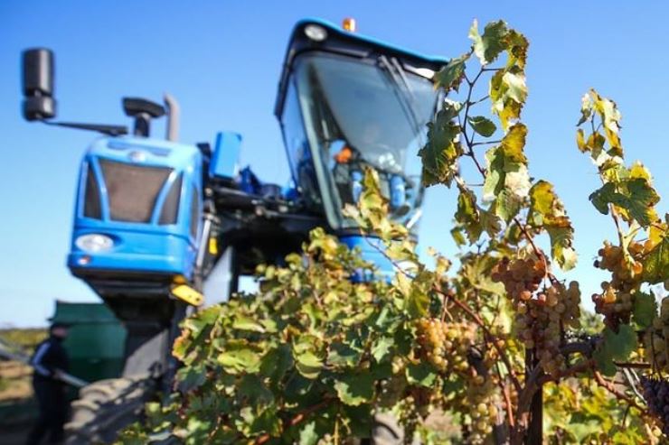 «Фанагория» потеряла 322 миллиона рублей из-за ливней