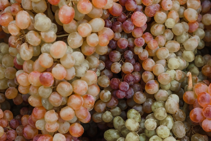 В «Абрау-Дюрсо» запустили линейку косметики на основе винограда