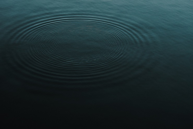 На дне Абрау-Дюрсо ищут 20 тысяч бутылок вина, затонувшего в годы Второй Мировой