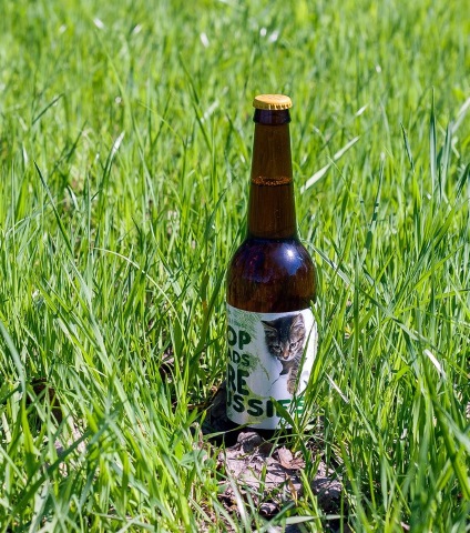 Hop Heads Are Pussies: Pine & Linden