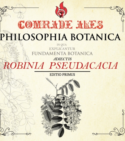 Philosophia Botanica: Robinia Pseudacacia