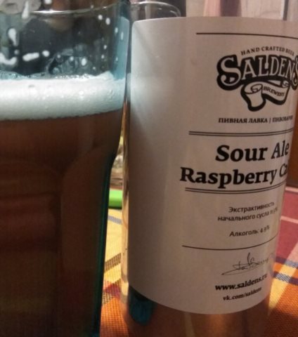 Sour Ale Raspberry Cake 