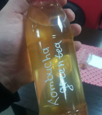 Kombucha: Green Tea