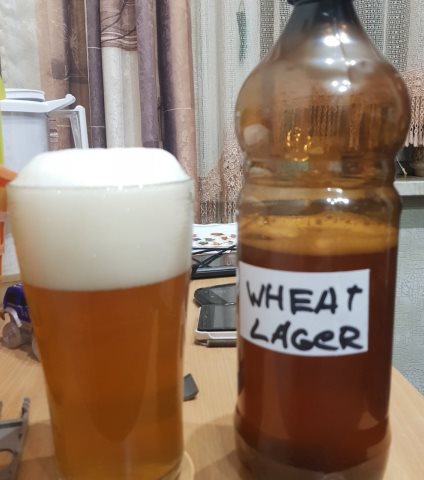 Wheat Lager Cascade Dry Hopped