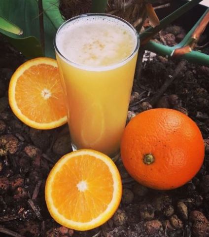 Youth & Freshness: Orange