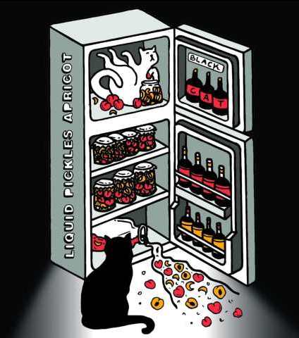 Liquid Pickles Apricot