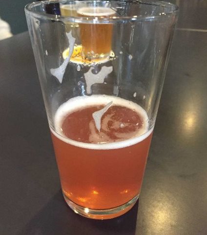 #19 Sour Grapefruit Saison