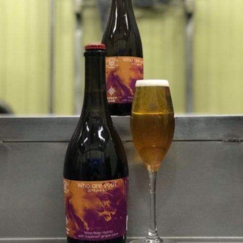 Who Are You? (2019 Year Ed.)